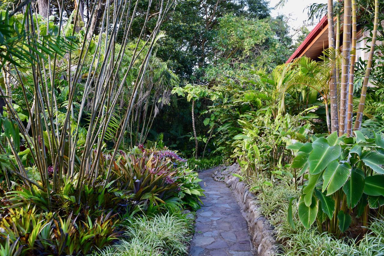 Arco Iris Lodge Monteverde Exteriér fotografie